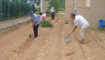 2005-8-24 텃밭관리(자봉) 이미지